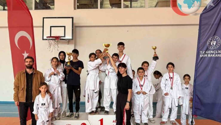 Patnos’ta Coşkulu Taekwondo Turnuvası: Sporun ve Cumhuriyet’in Buluştuğu Anlar