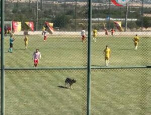 Sahaya Giren Köpek Maçı Durdurdu: Keçiborlu Belediyespor-1922 Akşehirspor Maçında İlginç Anlar