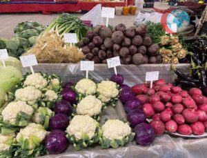 Sarıgöl’de Ata Tohumuyla Üretimin Son Temsilcisi: Hüseyin Karcı