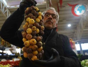 Sivas’ın Şifa Kaynağı: Üvez Meyvesi Yeniden Tezgahlarda