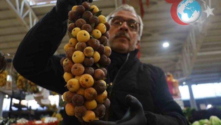 Sivas’ın Şifa Kaynağı: Üvez Meyvesi Yeniden Tezgahlarda