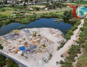 Söke’nin Sulak Alanları Tehlike Altında: Atıklar Ekosistemi Tehdit Ediyor