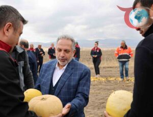 Talas Çiftçileri Türkiye’nin Kabak Çekirdeği Lideri Oldu