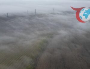 Tekirdağ’da Yoğun Sis Trafiği Etkiledi