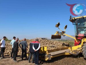 Tokat’ın Pazar İlçesinde Şeker Pancarı Hasadı Rekor Kırmaya Hazırlanıyor