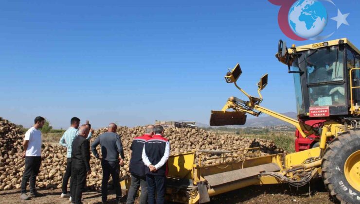 Tokat’ın Pazar İlçesinde Şeker Pancarı Hasadı Rekor Kırmaya Hazırlanıyor