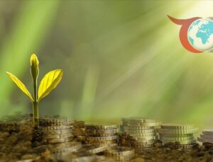 Türkiye Bankalarının İklim Değişikliği ile Mücadelesinde Eksiklikler Göze Çarpıyor