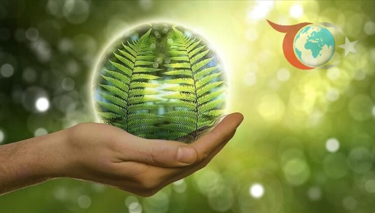 Türkiye’nin Hidrojen Geleceği: Dünya Bankası, Yerli Üretim ve Stratejik Vizyon