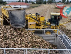 TürkŞeker 2025-2026 Üretim Yılı Şeker Pancarı Alım Fiyatını Güncelledi