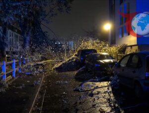 Val-d’Oise’de Hortum Felaketi: Bir Kişi Hayatını Kaybetti, Yaralılar Var