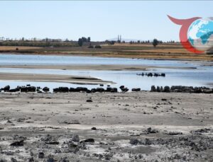 Van Gölü’ndeki Su Seviyesi Düşüşü Tarih ve Turizme Yeni Bir Perspektif Sunuyor