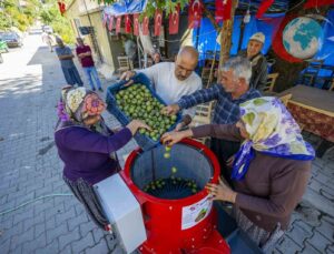 Yeni Ceviz Soyma Makineleri İle Üreticilere Büyük Kolaylık