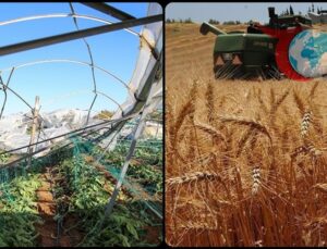 Zirai Don ve Kuraklık: Çiftçilere 27 Milyar Lira Hasar Ödemesi