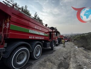 Adana’da Orman Yangını Paniği: Havai Fişek Tehlikesi