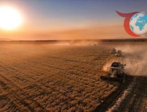 Ankara’dan Çiftçilere Büyük Destek: 711 Milyon Liralık Ödeme Yolda!