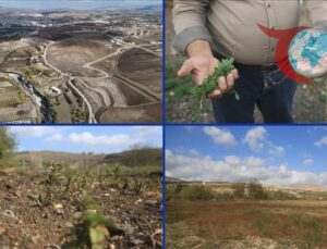 Asi Nehri’nin Kurumasıyla İdlib’de Tarım Krizi Derinleşiyor
