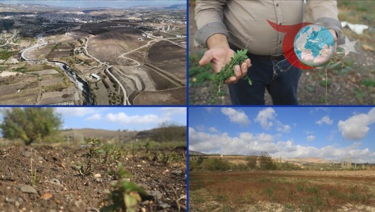Asi Nehri’nin Kurumasıyla İdlib’de Tarım Krizi Derinleşiyor