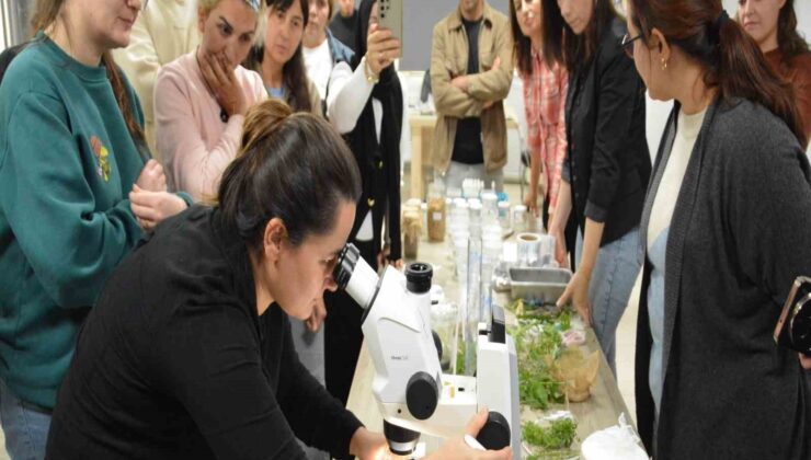 Balıkesir’de Bitki Doku Kültürü Eğitimiyle Tarımsal Geleceğe Katkı