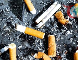 Berlin’de Çevre Kirliliği ile Mücadele: Cezalar Katlandı!