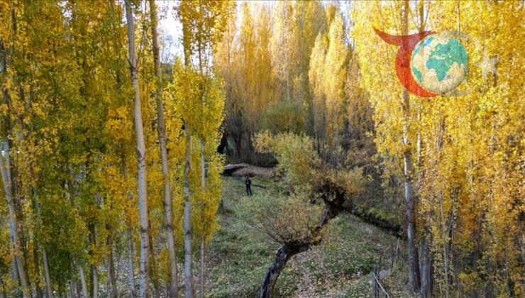 Bitlis’te Sonbahar Masalı: Doğa Renk Cümbüşüne Büründü