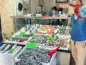 Düzce’de Hamsi Bolluğu ve Palamut Kıtlığı: Balık Fiyatları Kasapları Zor Durumda Bıraktı