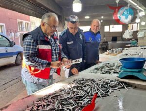 Emet’te Su Ürünlerinde Sıkı Denetim: Güvenilir Gıda İçin Adımlar Atıldı