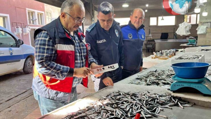Emet’te Su Ürünlerinde Sıkı Denetim: Güvenilir Gıda İçin Adımlar Atıldı