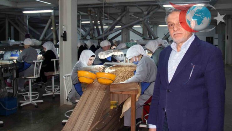 Fındık Fiyatlarında Yıl Sonuna Kadar Durgunluk Bekleniyor