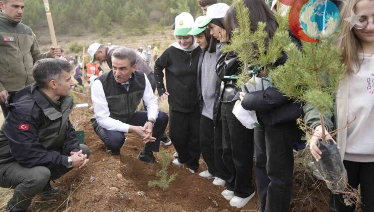 Gümüşhane’de Yeşil Gelecek İçin Sarıçam Fidanları Toprakla Buluştu