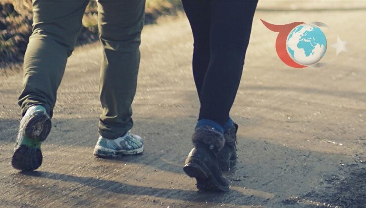 Günlük Yürüyüşün Alzheimer Üzerindeki Güçlü Etkisi Keşfedildi