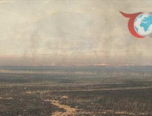 Hakkari’de Nehil Sazlığı’nda Korkutan Yangın