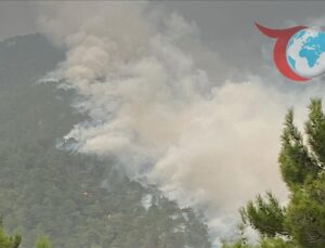 Hatay’daki Orman Yangınına Hızlı Müdahale