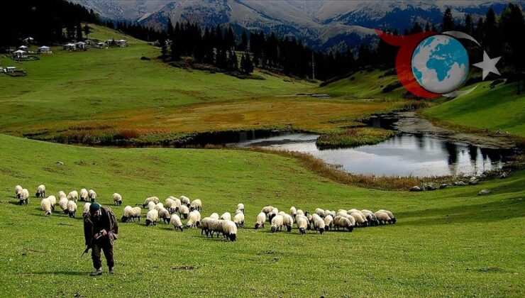 Hayvancılık Desteklemelerinde Yeni Dönem: Sürdürülebilir Üretime Yönelik Değişiklikler