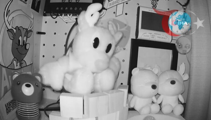 Japonya’da Iwate Eyaleti Açıklarında Şiddetli Deprem ve Tsunami