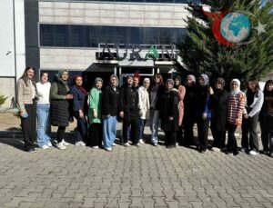 Kadın İstihdamının Güzellik Sektöründeki Rolü: Auran Kozmetik Örneği