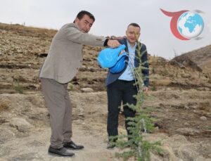 Kayseri Bünyan’da Fidan Dikim Etkinliği: Geleceğe Nefes