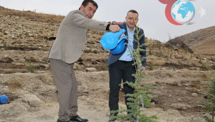 Kayseri Bünyan’da Fidan Dikim Etkinliği: Geleceğe Nefes