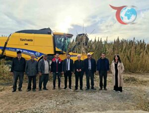 Kulu’da Endüstriyel Kenevir Hasadı Başladı: Alternatif Tarım Ürünü Olabilir