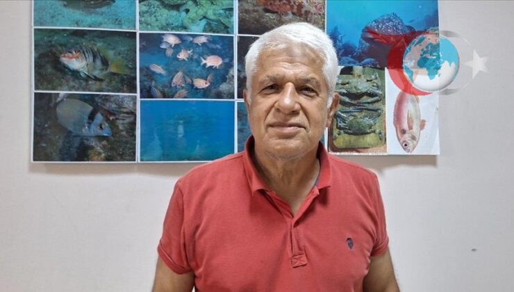 Küresel Isınmanın Akdeniz Ekosistemine Etkileri: Tropikal Türler ve Ekonomik Fırsatlar