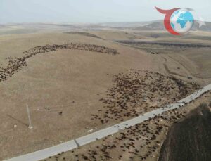 Kuzeydoğu Anadolu’nun Zorlu Göçü: Iğdır’a Dönüş Yolculuğu Başladı