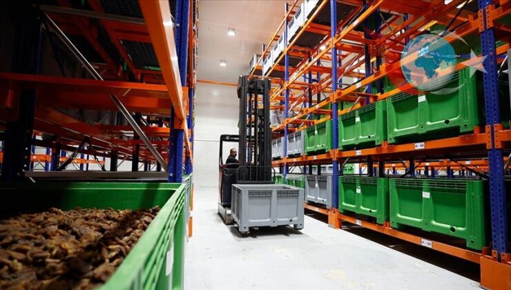 Malatya’nın Kayısı Üretiminde Zirai Donun Etkileri ve Lisanslı Depoların Rolü