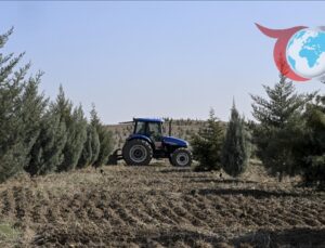 Milli Ağaçlandırma Günü: Türkiye’nin Yeşil Geleceğine Katkı