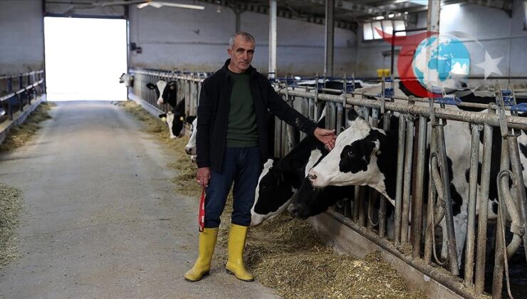 Modern Çiftlik Yatırımıyla Süt Üretiminde Başarı Hikayesi