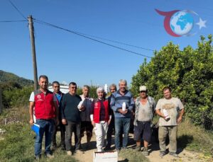 Ortaca’da Narenciye Zararlılarıyla Mücadele Sürüyor: Üreticilere Büyük Destek