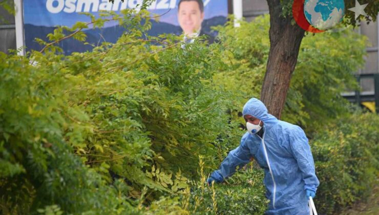 Osmangazi’de Kemirgenlerle Mücadelede Kapsamlı İlaçlama Seferberliği