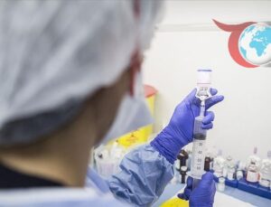 Safra Yolları Kanserinde Yeni Nesil İmmünoterapinin Umut Vadeden Etkileri