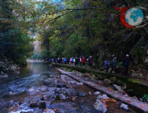 Sakarya’da Sonbaharın Büyülü Tonlarıyla Doğa Yürüyüşü Keyfi
