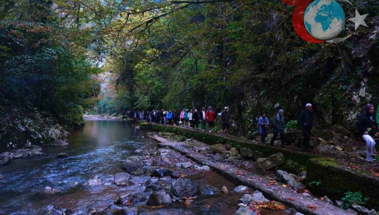 Sakarya’da Sonbaharın Büyülü Tonlarıyla Doğa Yürüyüşü Keyfi