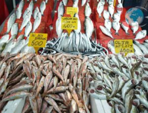 Samsun Balık Hali’nde Fiyatlar El Yakıyor: Hamsi Yine Zirvede