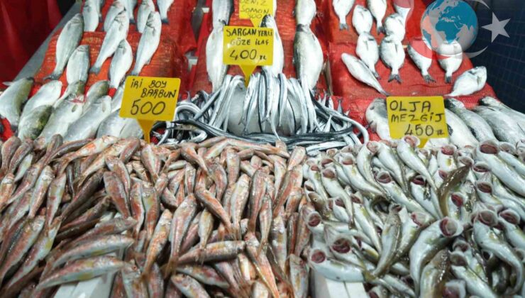 Samsun Balık Hali’nde Fiyatlar El Yakıyor: Hamsi Yine Zirvede